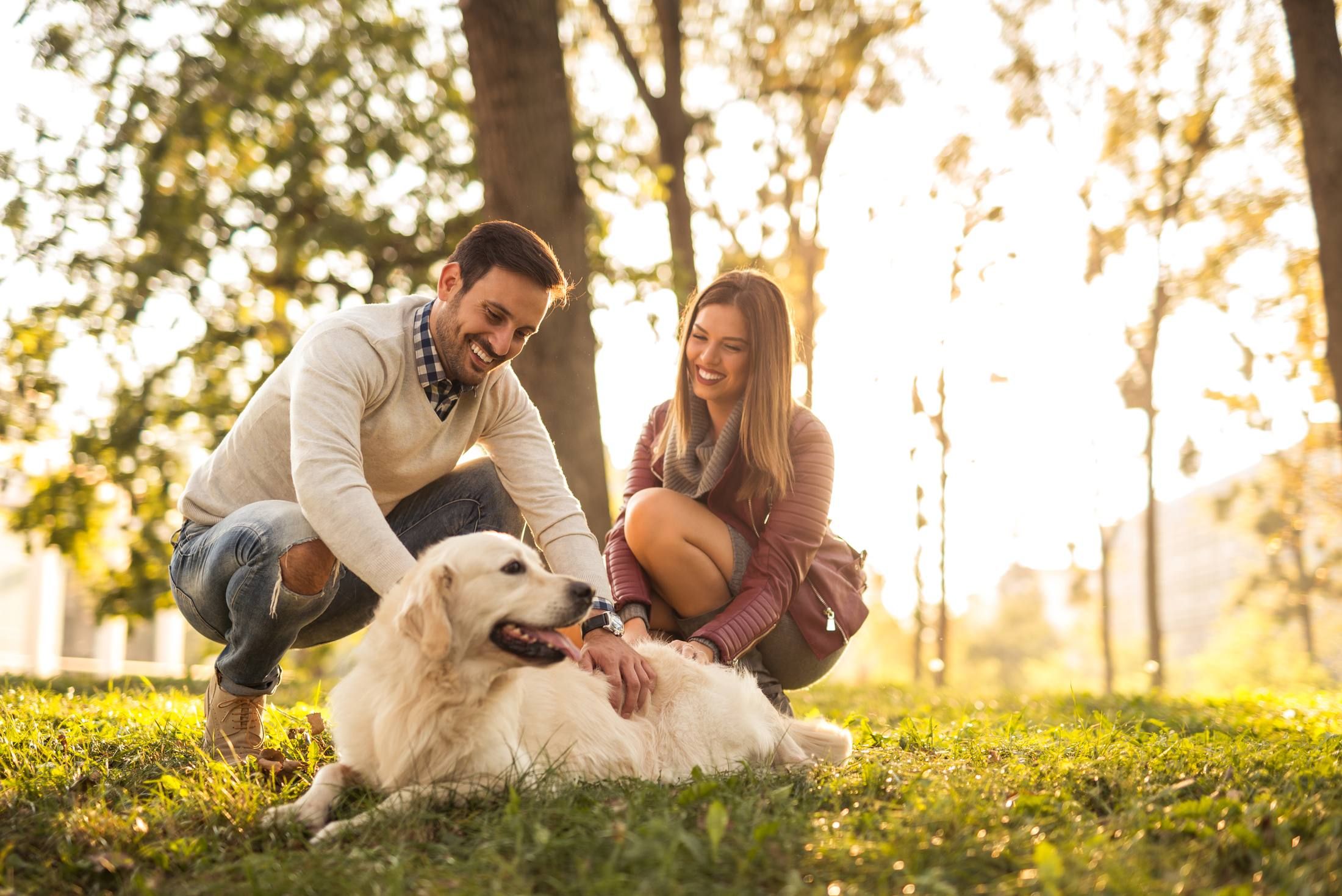 A man and woman smile while petting a happy golden retriever lying on grass in a sunlit park.